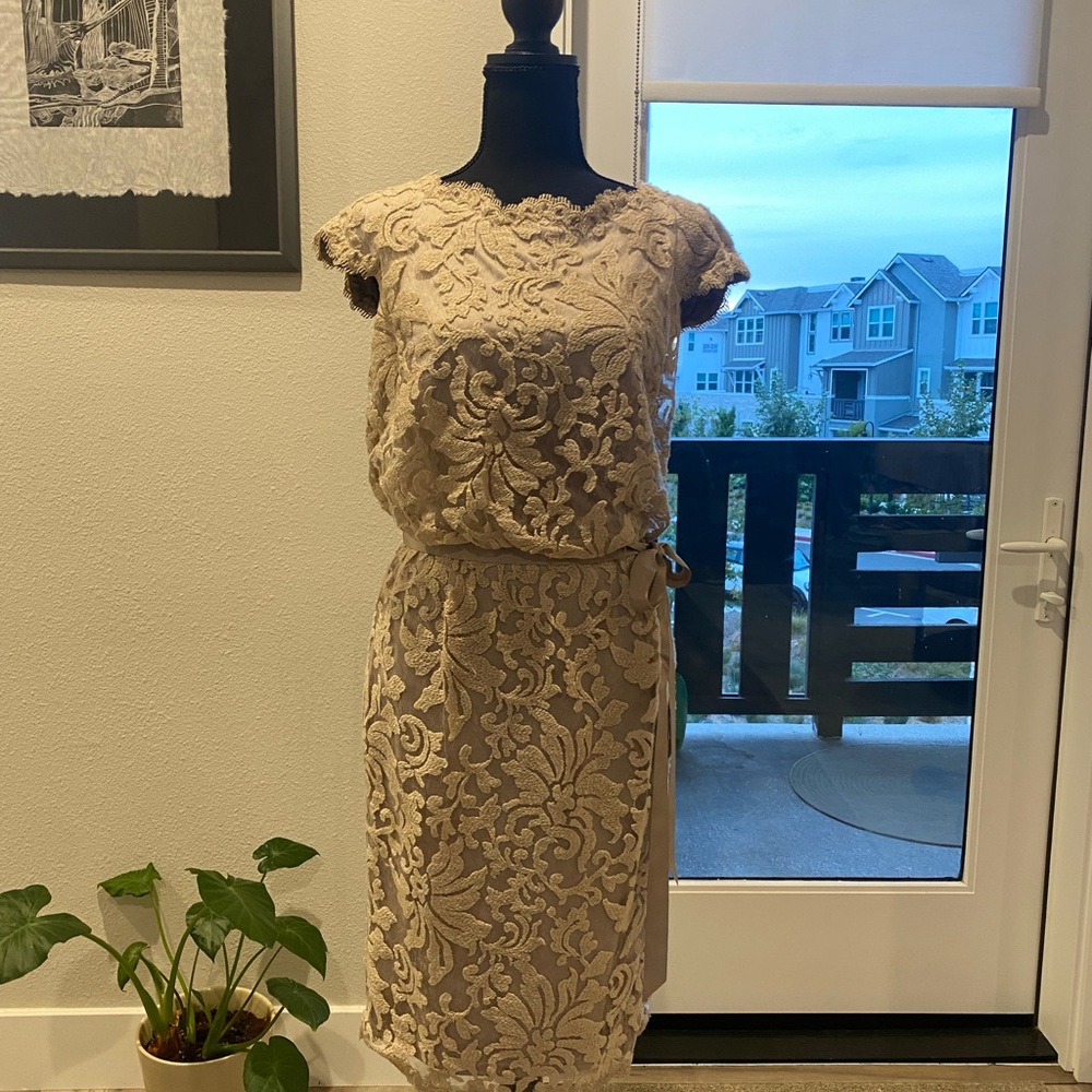 Tadashi Shoji lace dress size 6